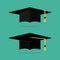 Graduation cap flat vector illustration. Graduation hat logo. Academic caps. Graduation cap isolated on the background.