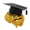 Graduation cap with golden brain