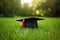Graduation cap on green grass. Education concept. Copy space, graduation hat lies on green grass, AI Generated