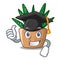 Graduation character small zebra cactus plant on pot