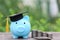 Graduation hat on blue piggy bank with stack of coins money on nature green background, Saving money for education concept