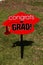 Graduation Lawn Sign