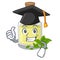 Graduation peppermint oil in the cartoon shape