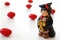 Graduation student miniature on white background, red candy