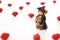 Graduation student miniature on white background and red candy