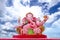 Graet pink Ganesha image is stituated outdoor and cloudy sky of Magha puja Buddha Park Memorial in Garden Buddha