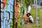 Graffiti artist working on a design on a wall next to a path