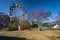 Grafton, NSW, Australia - Jacaranda Festival at the Market Square