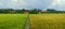 Grain is approaching harvest time at the foot of the red soil hill