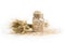 Grain bouquet, golden oats spikelets and can filled with dried grains on white table. Food and jar