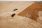 Grain Cart and Combine on Prairie Field