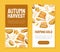 Grain Cereal Banner Design with Natural Crop Harvest Vector Template