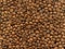 Grain coffee in macro