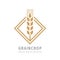 Grain crop cereal logo template creative illustration. Ear of wheat organic sign. Ecology symbol. Bio nature insignia. Agriculture