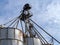 Grain distributor on top of bins at a grain elevator in southeastern Washington, USA