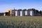 Grain dryer and wheat field