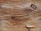Grain eroded wood background, rough wooden texture, driftwood pa