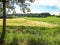 Grain field in the rolling hills of South Limburg