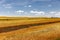 Grain fields in the Bardenas Reales desert, Navarre