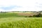 Grain Fields, fields, small village fare away in background