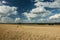 Grain fields with a technological path, trees on the horizon