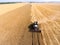 Grain harvester driving on golden wheat field, front view, harvesting yellow wheat at summer