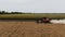 Grain harvester at work. Combine harvester with straw chopper works in the wheat field. Harvesting Wheat in slow motion