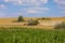 Grain harvesting combine on field in summer day