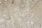 Grain limestone texture