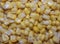 Grain milk corn. washed grains. background in yellow color.