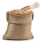 Grain oats in burlap bag with a wooden scoop isolate