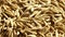Grain oats. Close up. The movement in a shot.