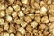 Grain popcorn brown background