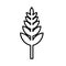 Grain, seed, wheat ears icon. Grain, seed, wheat ears icon. Outline vector