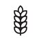 Grain thin line vector icon