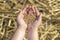 Grain of the wheat in child`s hands on a background of a wheaten field