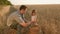 Grain of wheat in hands of a child. father farmer plays with little son, daughter in field. Agriculture concept. Dad is