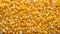 Grain yellow diet food maize corn background