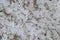 Grains of coarse cooking salt - textured background shades of gray white