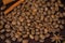 Grains of coffee close-up. Texture of extra large arabica Maragogype bean of very high quality, considered one of the