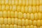 Grains of ripe corn background