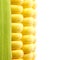 Grains of Ripe Corn with Water Droplets / Isolated / Extreme Ma