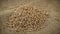 Grains of wheat falling on heap of wheat grains on burlap fabric background - slow motion