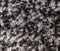 Grainy grungy knitting threads black white texture wool fur fiber seamless background