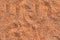 Grainy sandy uneven surface of red color, seamless texture