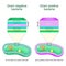 Gram negative and Gram positive bacteria