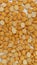 Gram split pulse Chickpea Chana dal 9:16 image size closeup