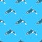 Grampus Killer whale seamless pattern animal background