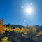 Gran Canaria, autumnal fruit garden in Las Cumbres, highest ares