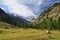 Gran Paradiso national park. Aosta Valley, Italy